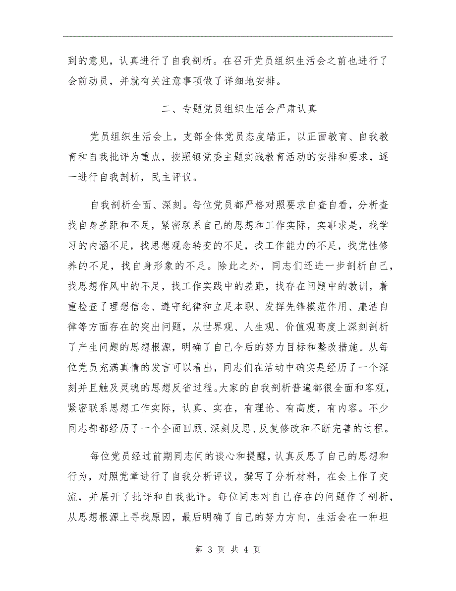 中学专题组织生活会情况总结.doc_第3页