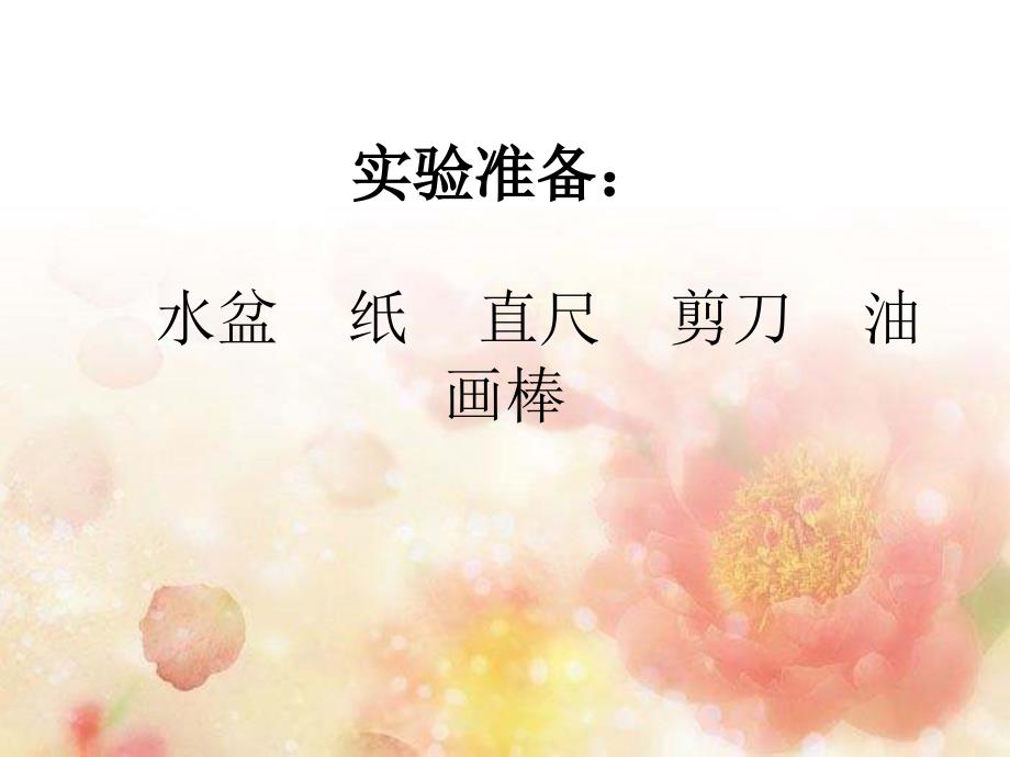 会开放的纸花PPT课件.ppt_第2页