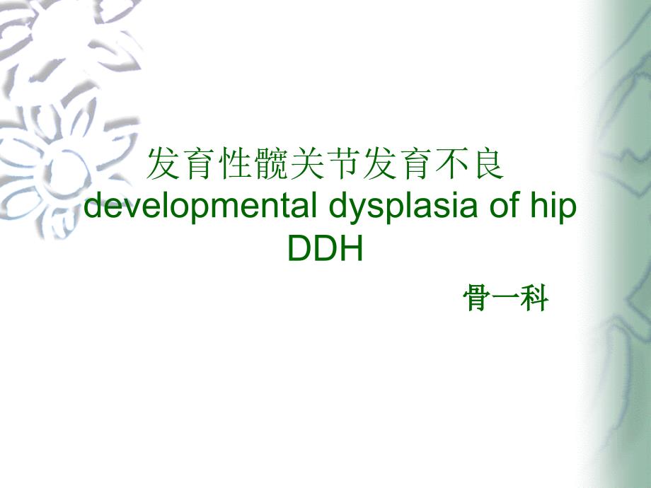 发育性髋关节发育不良课件.ppt_第1页