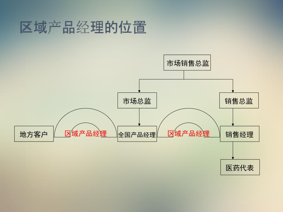 医药区域产品经理项目与行动计划制定POA.ppt_第2页