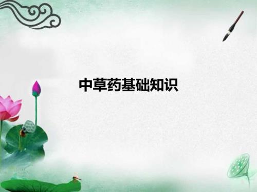 中草药基础知识PPT课件.ppt
