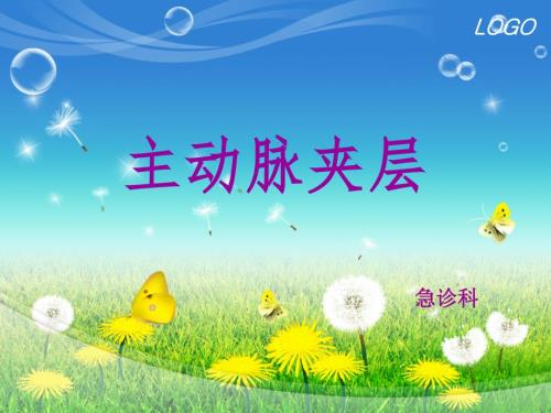 主动脉夹层护理PPT.ppt