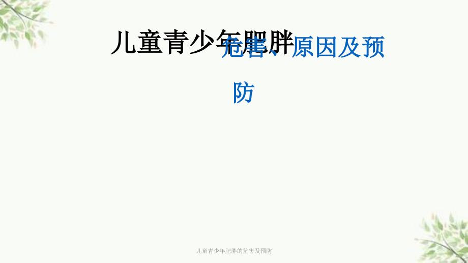 儿童青少年肥胖的危害及预防ppt课件.ppt_第1页