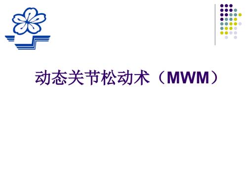 动态关节松动术PPT课件.ppt