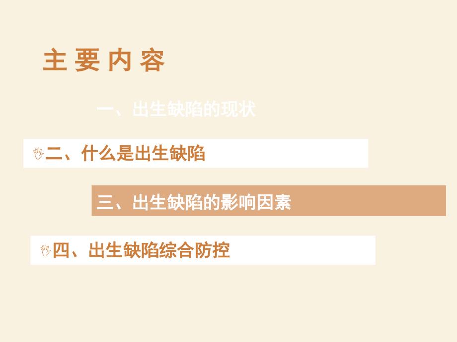 出生缺陷防控简要PPT.ppt_第2页