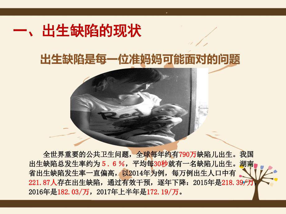 出生缺陷防控简要PPT.ppt_第3页