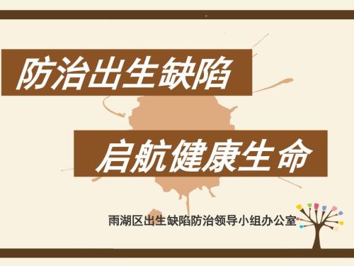 出生缺陷防控简要PPT.ppt