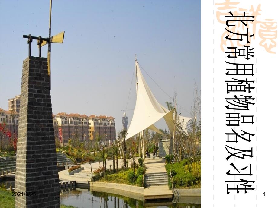 北方常用绿化树品名及习性PPT课件.ppt_第1页