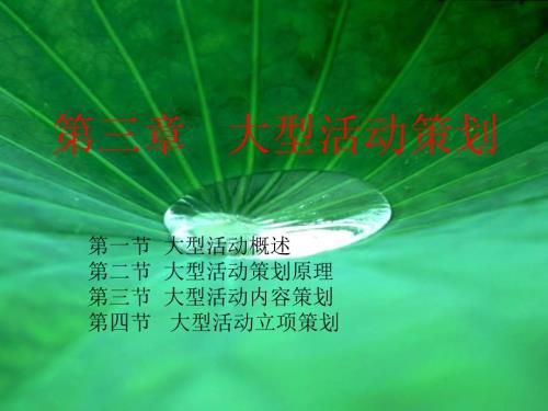 大型活动策划PPT课件.ppt