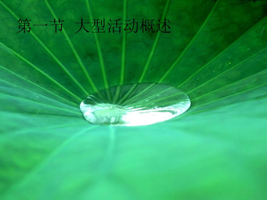 大型活动策划PPT课件.ppt_第2页