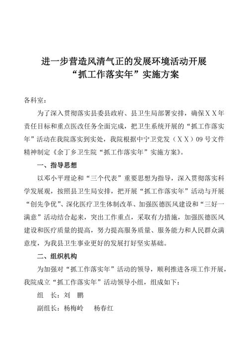 医院抓工作落实年实施方案.doc