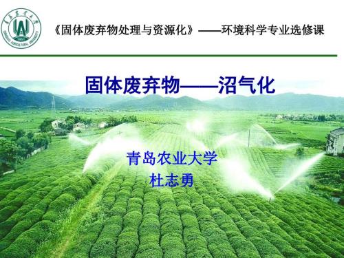 固废沼气化处理技术.ppt