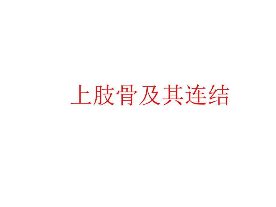上肢骨及其连接.ppt_第1页