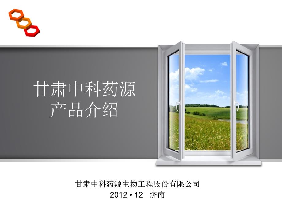 催化剂介绍PPT课件.ppt_第1页