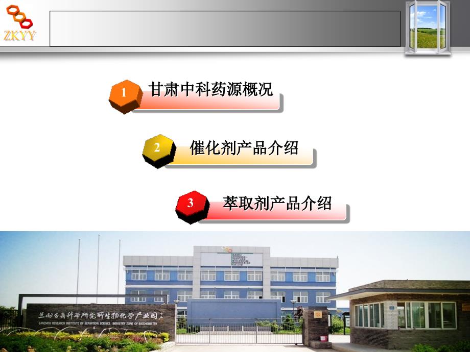 催化剂介绍PPT课件.ppt_第2页