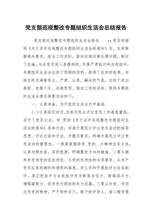 党支部巡视整改专题组织生活会总结报告.docx