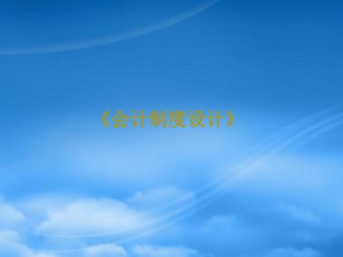 会计制度设计.pptx
