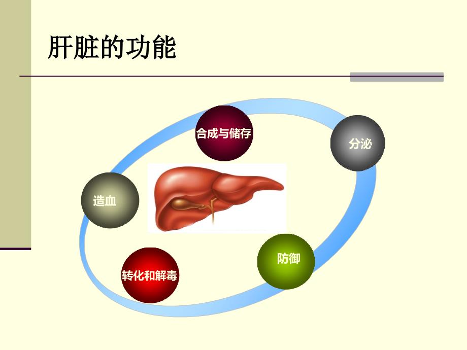 人工肝疗进展课件.ppt_第2页