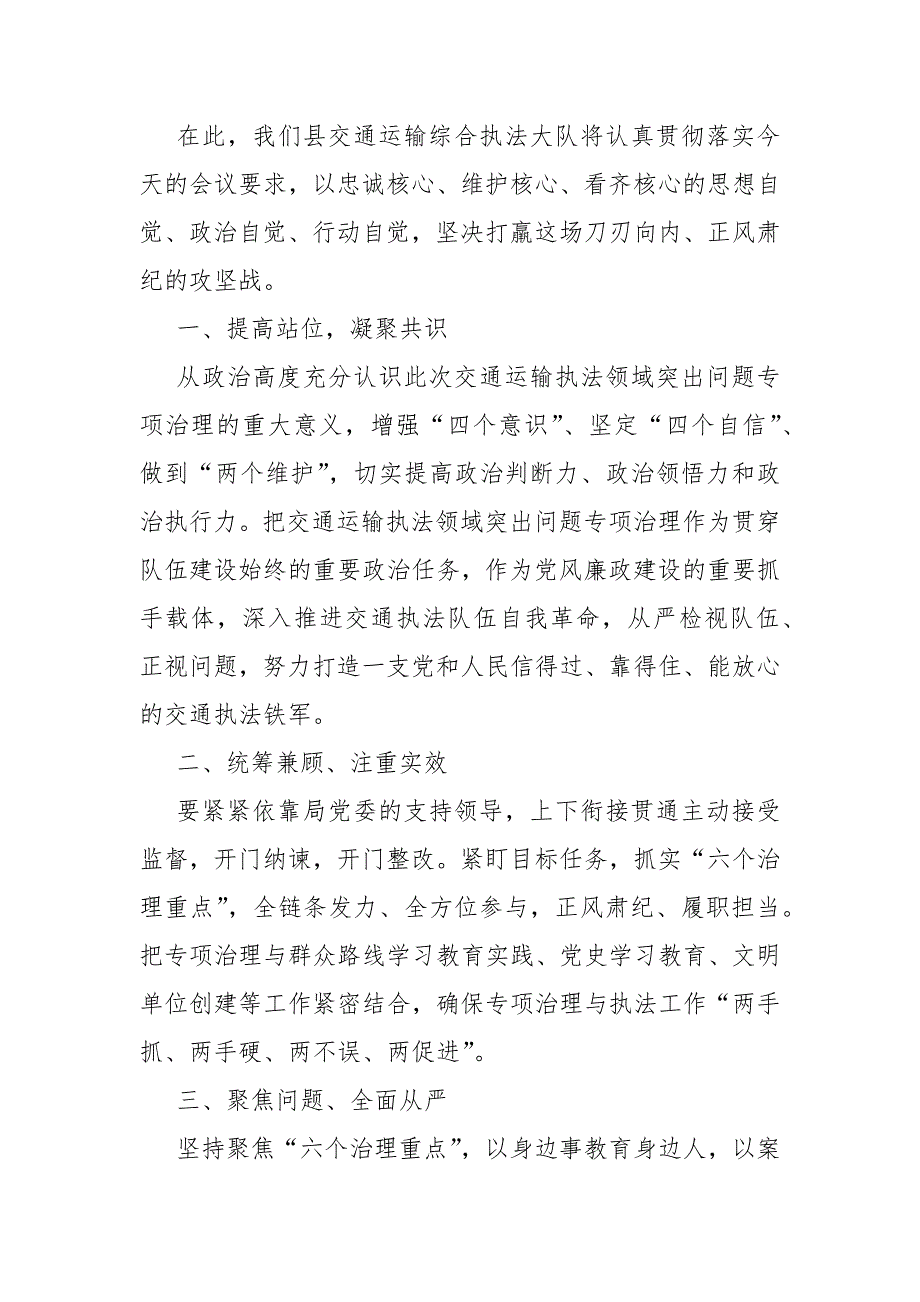 交通运输执法领域突出问题专项治理表态发言.docx_第2页