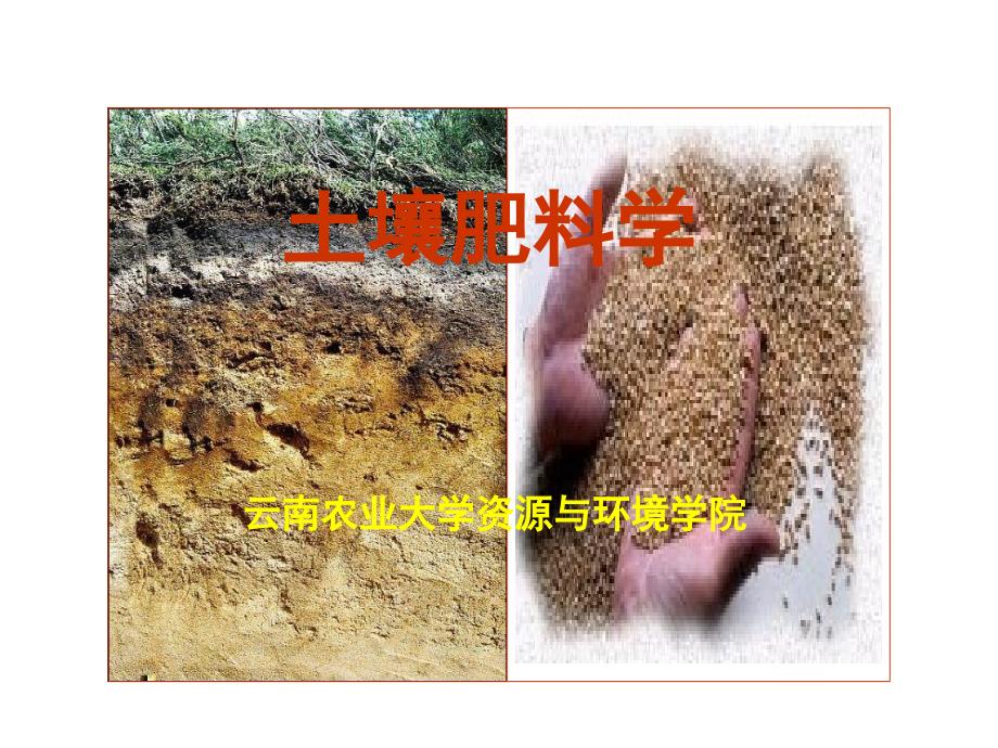 土壤肥料学PPT课件.ppt_第1页