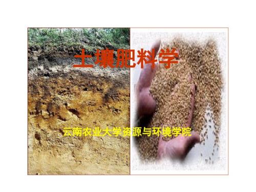 土壤肥料学PPT课件.ppt