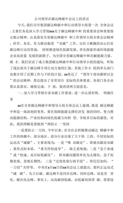 公司领导在碳达峰碳中会议上的讲话.docx