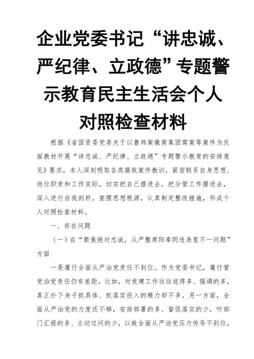企业党委书记讲忠诚严纪律立政德专题警示教育民主生活会个人对照检查材料.doc