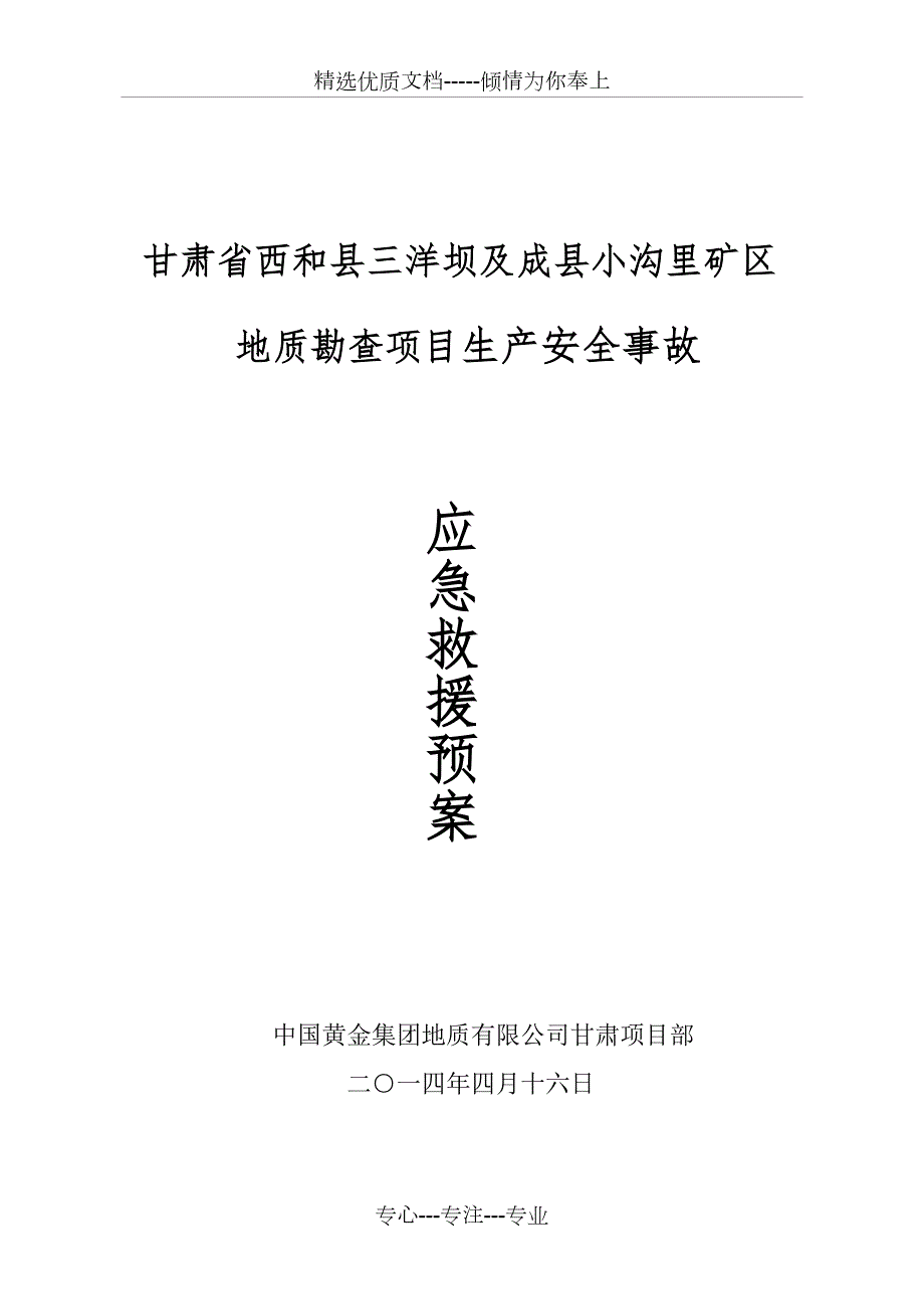 地质勘查项目应急预案共44页.doc_第1页