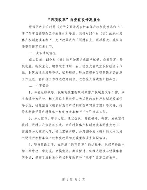 两项改革自查整改情况报告.doc