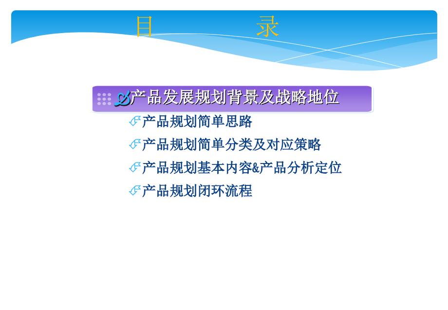 公司产品规划.ppt_第2页