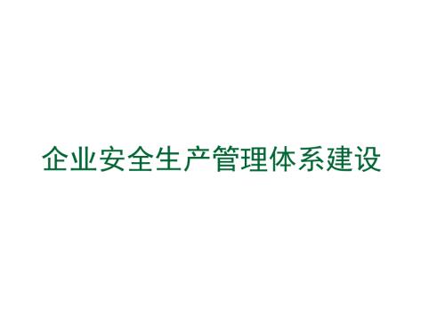 企业安全生产管理体系建设讲解范本.ppt