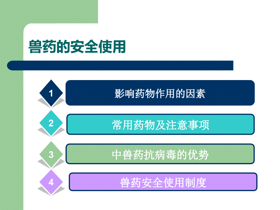 兽药的安全使用.ppt_第2页