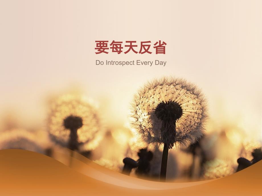 六项精进之要每天反省.ppt_第1页