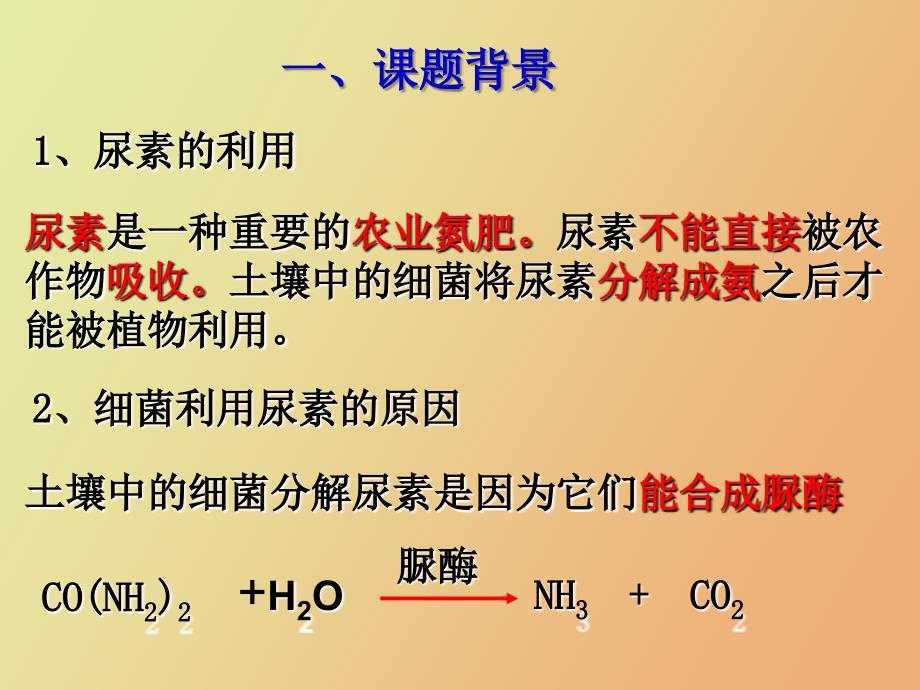 土壤中分解尿素的细菌的分离和计数.ppt_第2页