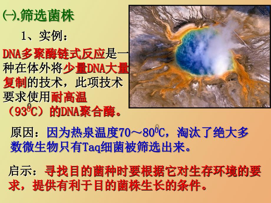 土壤中分解尿素的细菌的分离和计数.ppt_第3页