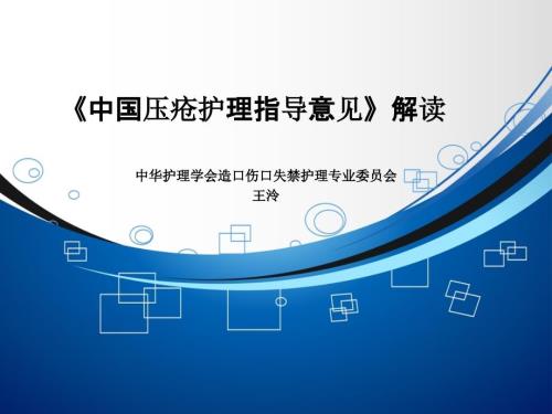 中国压疮护理指导意见解读.ppt