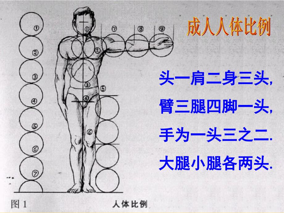 在校园中健康成长课件.pptx_第3页