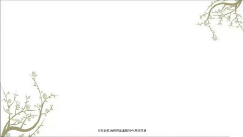 实验四肌肉组织氨基移换作用纸层析课件.ppt