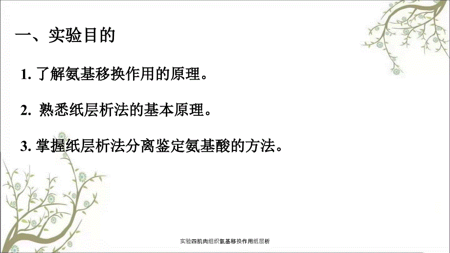 实验四肌肉组织氨基移换作用纸层析课件.ppt_第2页