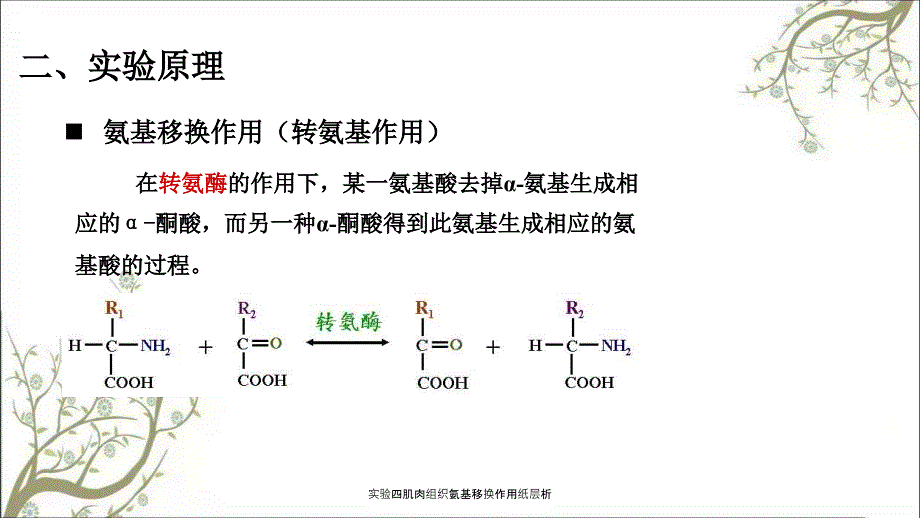 实验四肌肉组织氨基移换作用纸层析课件.ppt_第3页