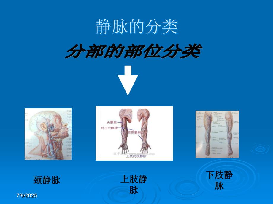 化疗病人的静脉管理ppt课件.ppt_第3页