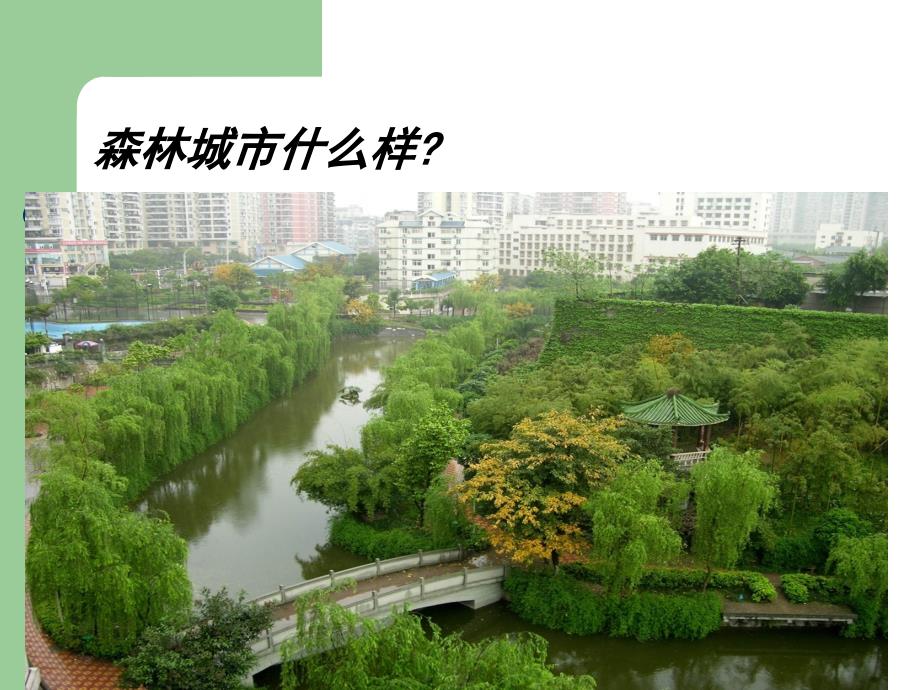 创建国家森林城市知识进课堂.ppt_第3页