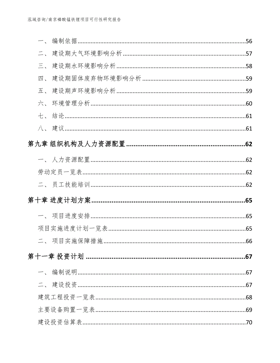 南京磷酸锰铁锂项目可行性研究报告参考模板.docx_第3页