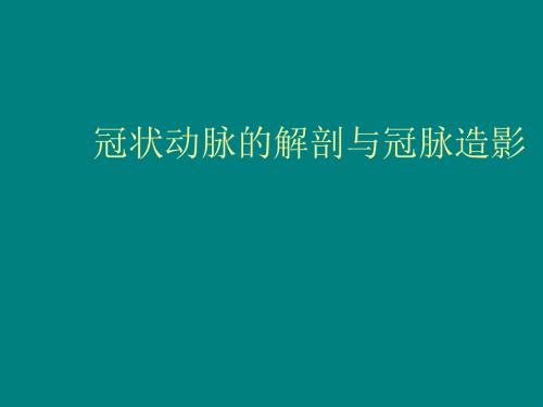 冠状动脉的解剖与冠脉造影.ppt