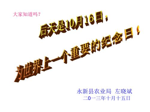 中国粮食生产现状PPT课件.ppt