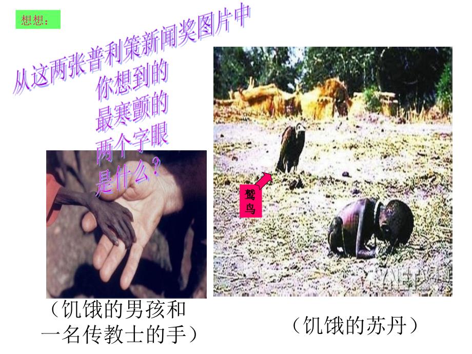 中国粮食生产现状PPT课件.ppt_第2页