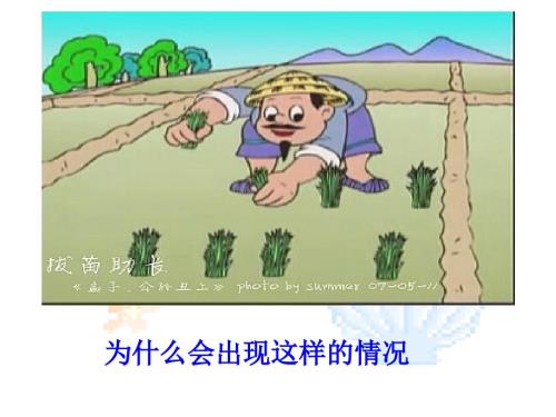 主观符合客观PPT课件.ppt