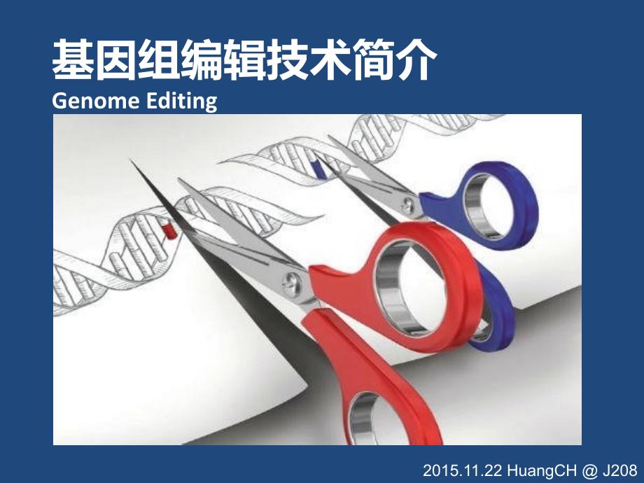 基因编辑技术PPT课件.ppt_第3页