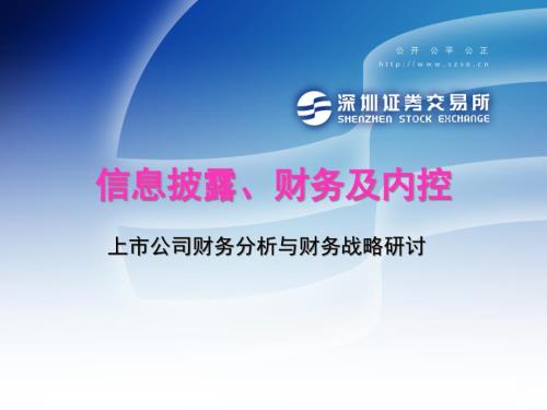 信息披露财务及内控上市公司财务分析与财务战略研讨36页PPT.pptx