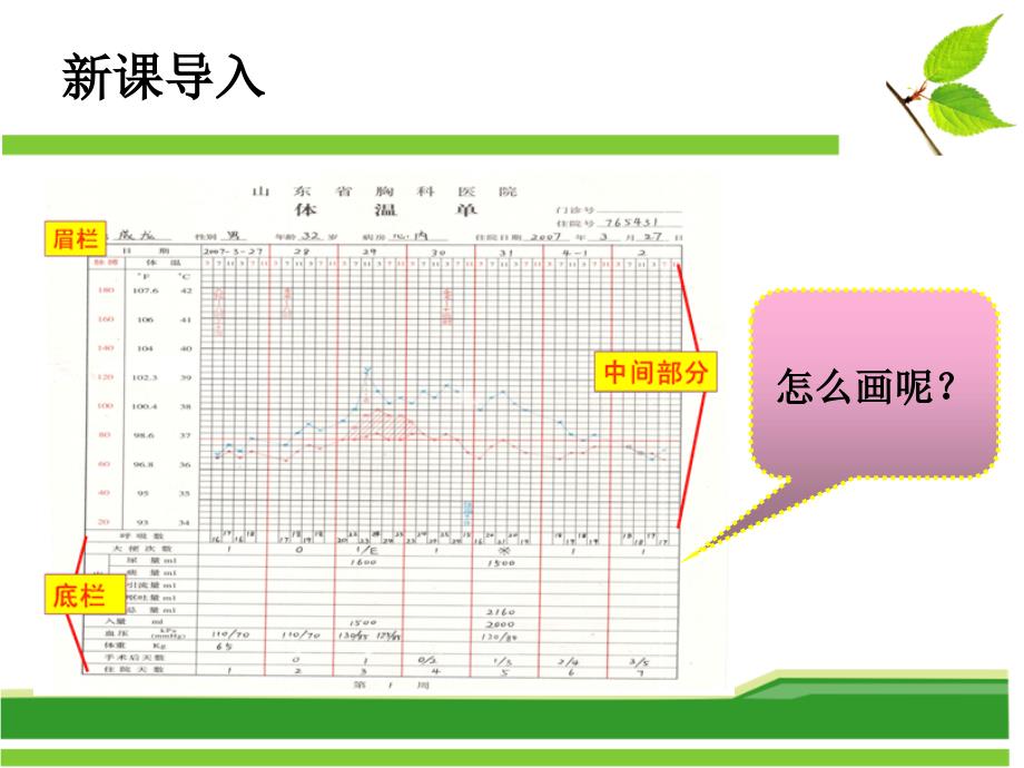 体温单的绘制PPT课件.ppt_第3页